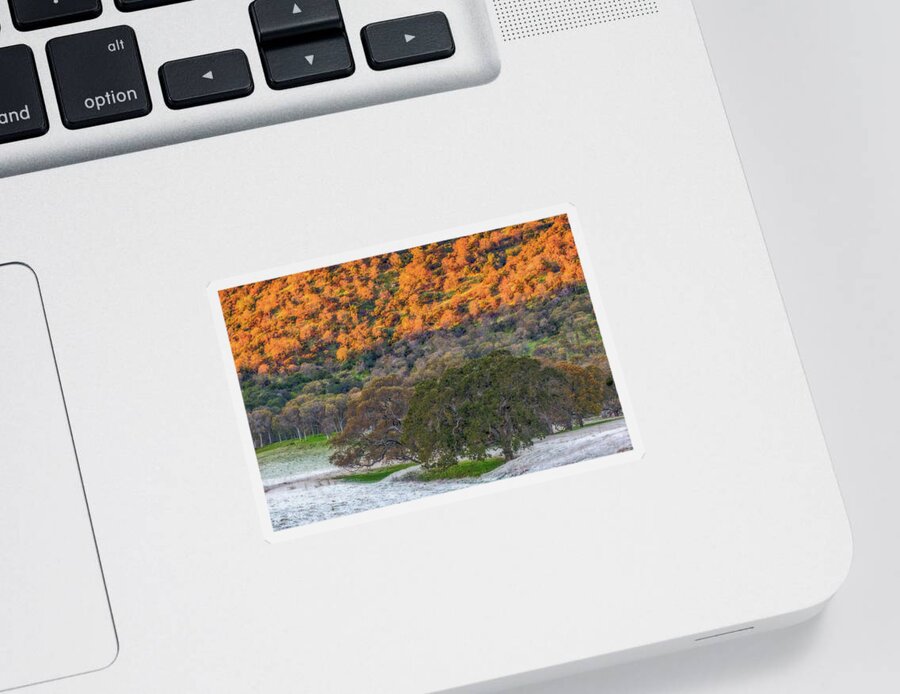 Landscape Sticker featuring the photograph Sunlit Hillside and Frost by Marc Crumpler