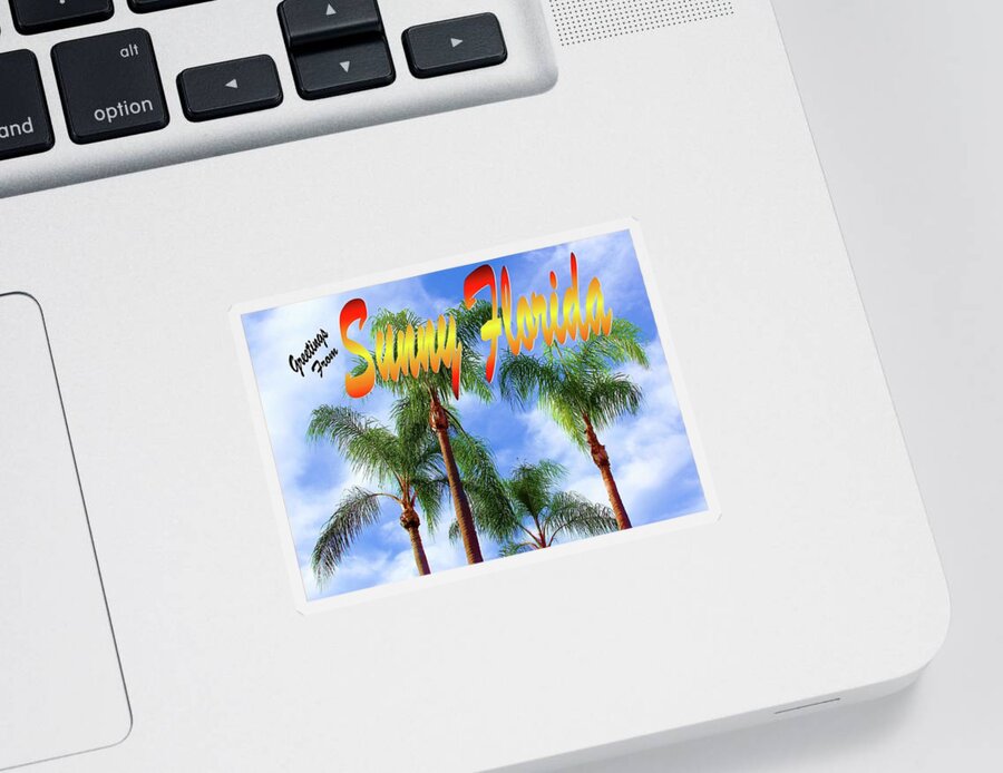 Postcard Sticker featuring the photograph Sunny Florida Postcard by Robert Wilder Jr