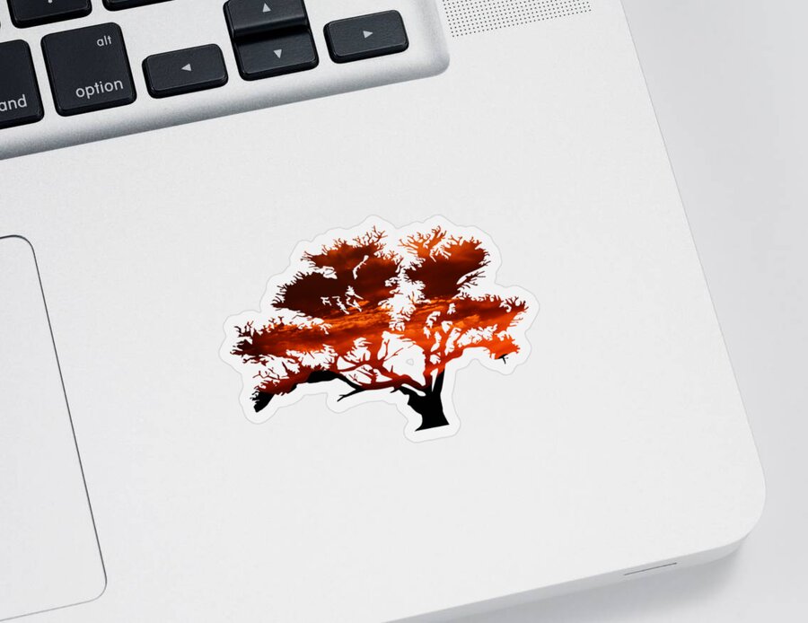 Sunrise Sticker featuring the photograph Sunrise Tree 2 by Whispering Peaks Photography