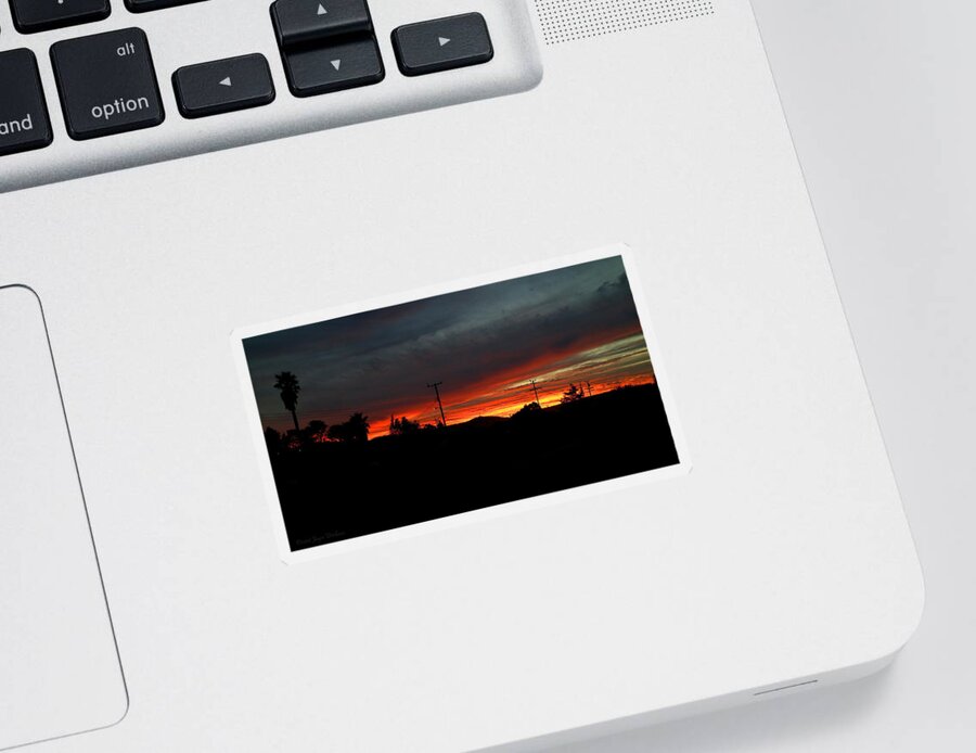 Vibrant Sticker featuring the photograph Sunset 01 31 17 by Joyce Dickens