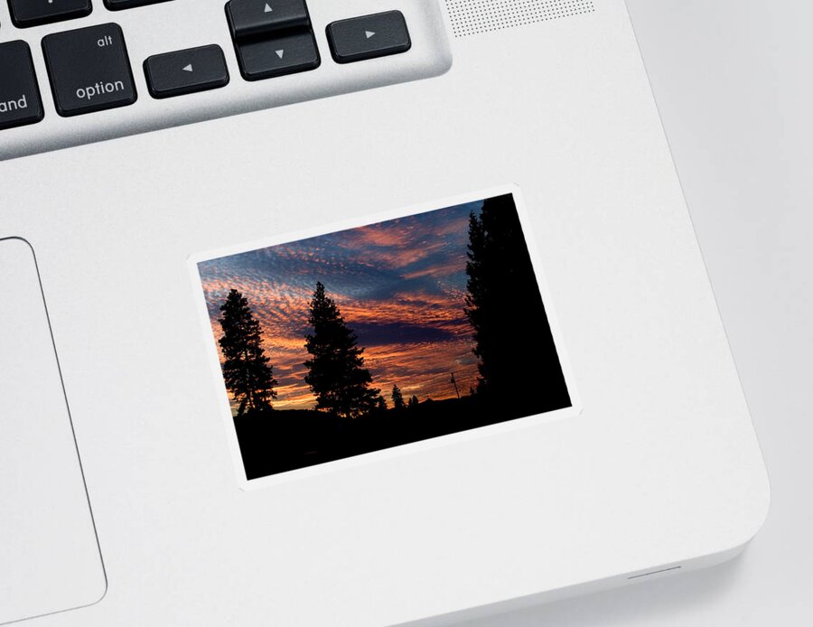 Landscape Sticker featuring the photograph Sunset 2 by Lee Santa