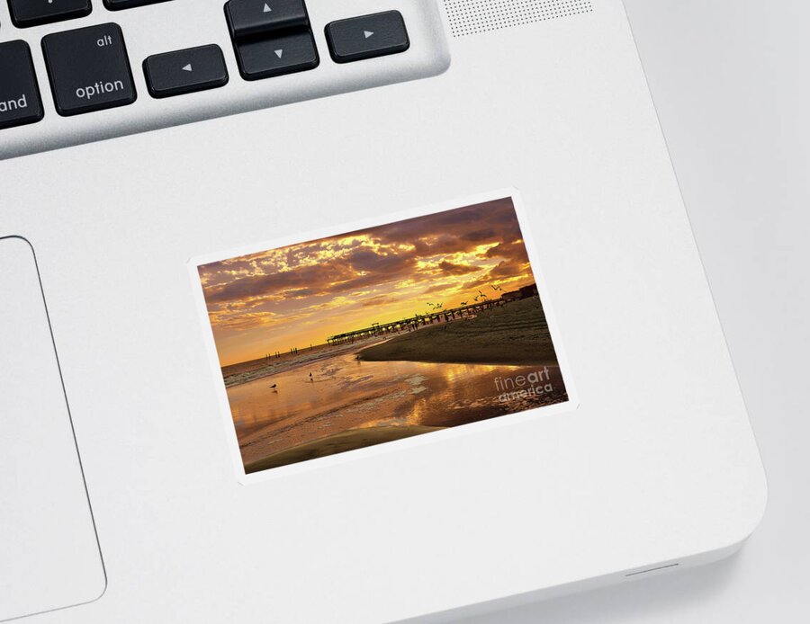 Scenic Sticker featuring the photograph Sunset And Gulls by Kathy Baccari