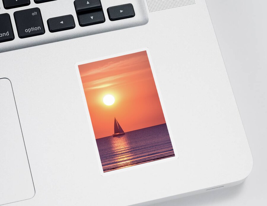 Darwin Sticker featuring the photograph Sunset Dreams by Racheal Christian