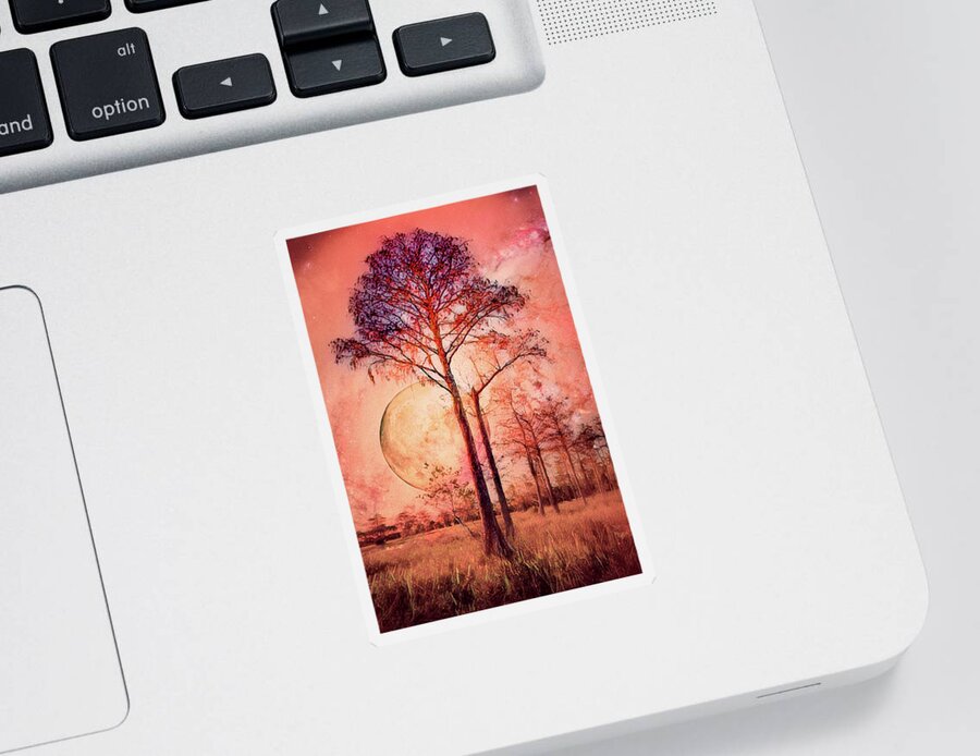 Fall Sticker featuring the photograph Sunset Fire by Debra and Dave Vanderlaan