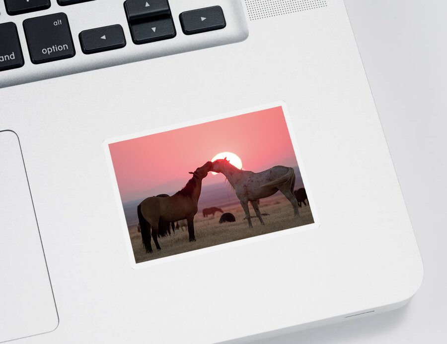 Wild Horses Sticker featuring the photograph Sunset Horses by Wesley Aston