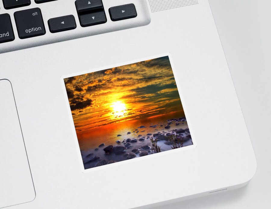 Beach Painting Sticker featuring the painting Sunset Shoreline by Mark Taylor