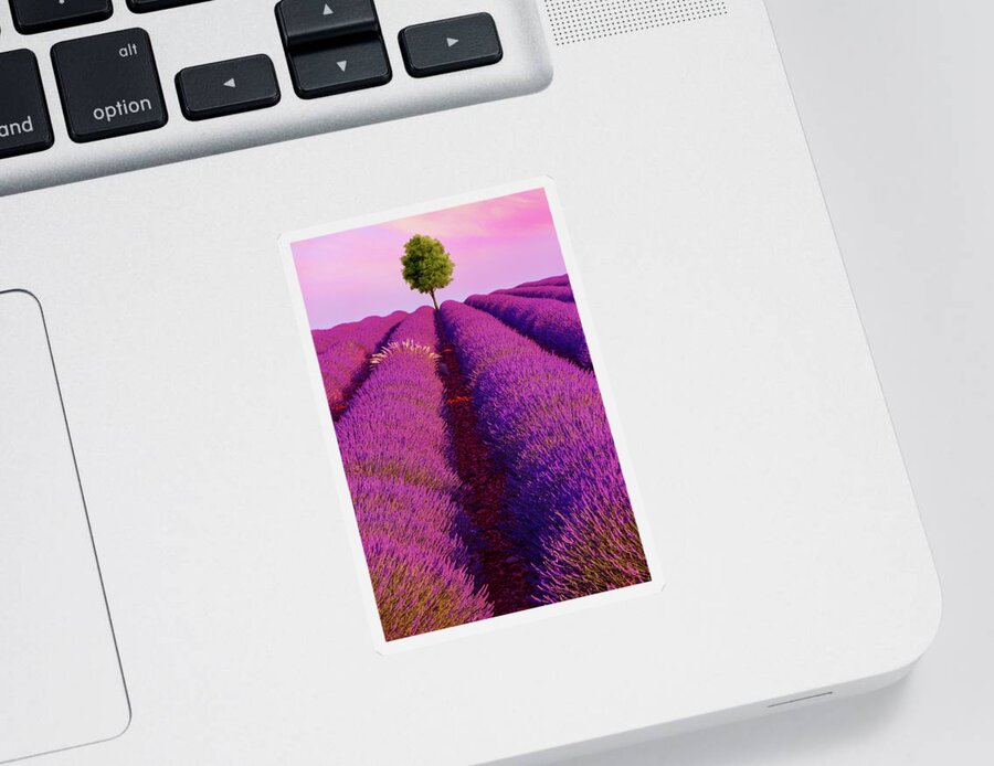 Lavender Sticker featuring the photograph Sunsets Are Purple by Iryna Goodall