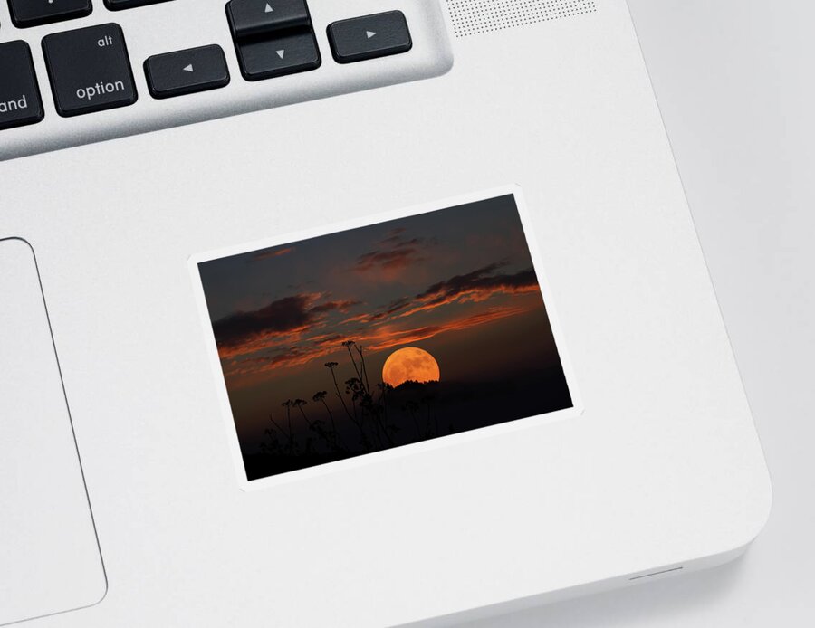 Moon Sticker featuring the photograph Super Moon and Silhouettes by John Haldane