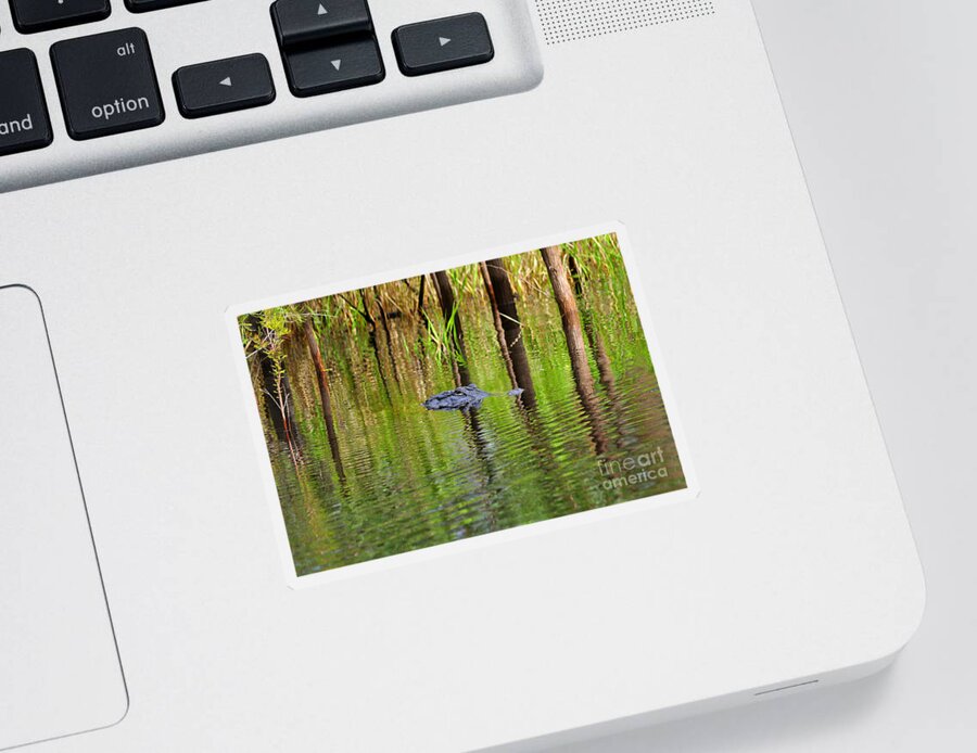 Alligator Sticker featuring the photograph Swamp Stalker by Al Powell Photography USA