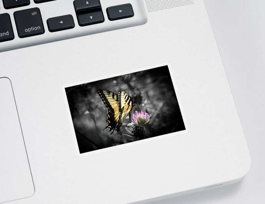 Butterfly Sticker featuring the photograph Swallowtail Butterfly- Color Pop by Holden The Moment