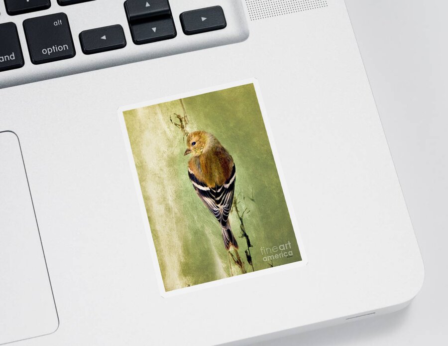 American Goldfinch Sticker featuring the painting Sweet Goldfinch by Tina LeCour