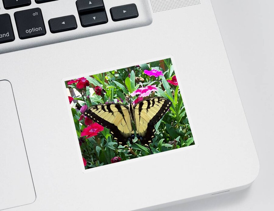 Swallowtail Sticker featuring the photograph Symmetry by Sandi OReilly