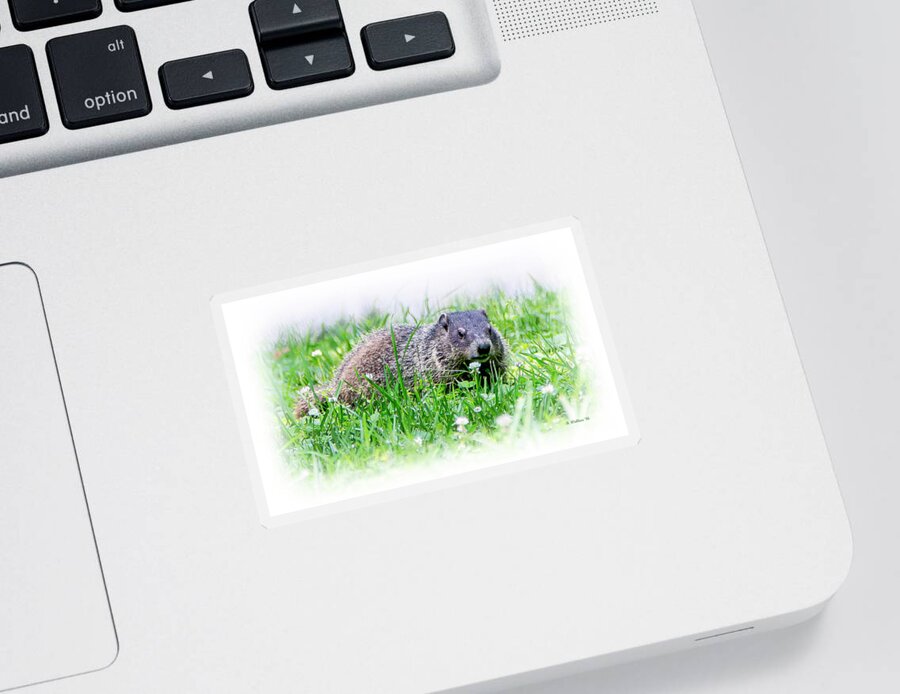 2d Sticker featuring the photograph Take Time To Smell The Flowers by Brian Wallace