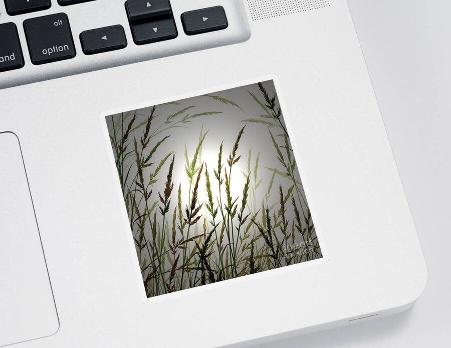 Sunlight Sticker featuring the digital art Tall Grass and Sunlight by James Williamson