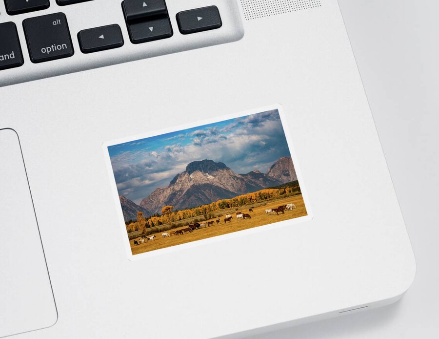 Grand Teton National Park Sticker featuring the photograph Teton Horse Ranch by Darren White