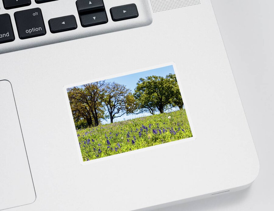 Austin Sticker featuring the photograph Texas Wildflowers by Raul Rodriguez