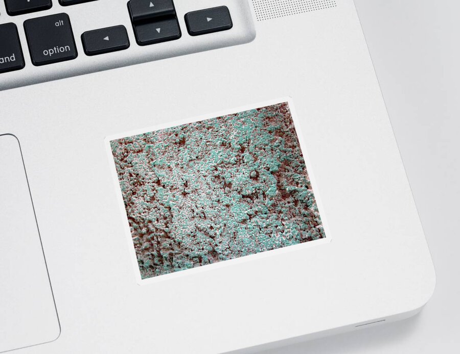 Texture Sticker featuring the photograph Texture No. 5-1 by Sandy Taylor