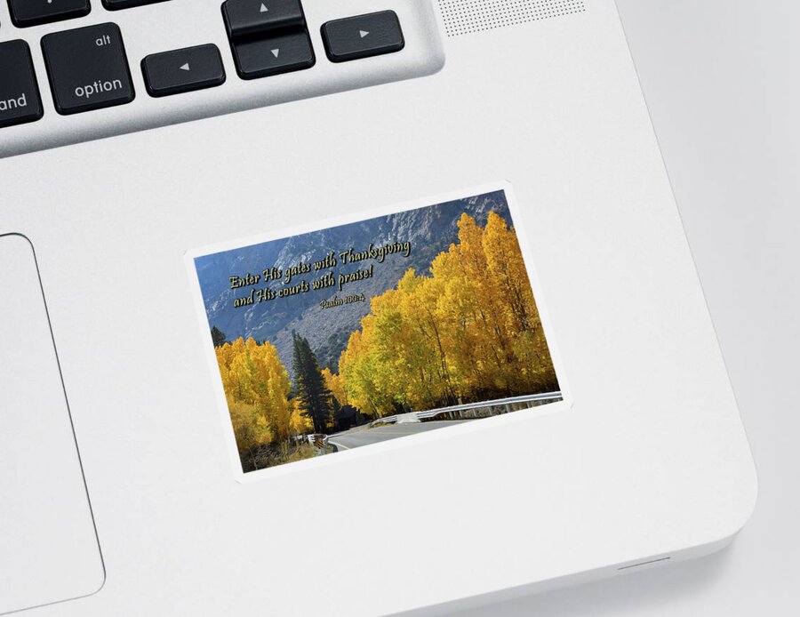 Scripture Sticker featuring the photograph Thankful by Brian Tada