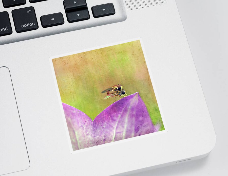 Cindi Ressler Sticker featuring the photograph The Dance of the Hoverfly by Cindi Ressler