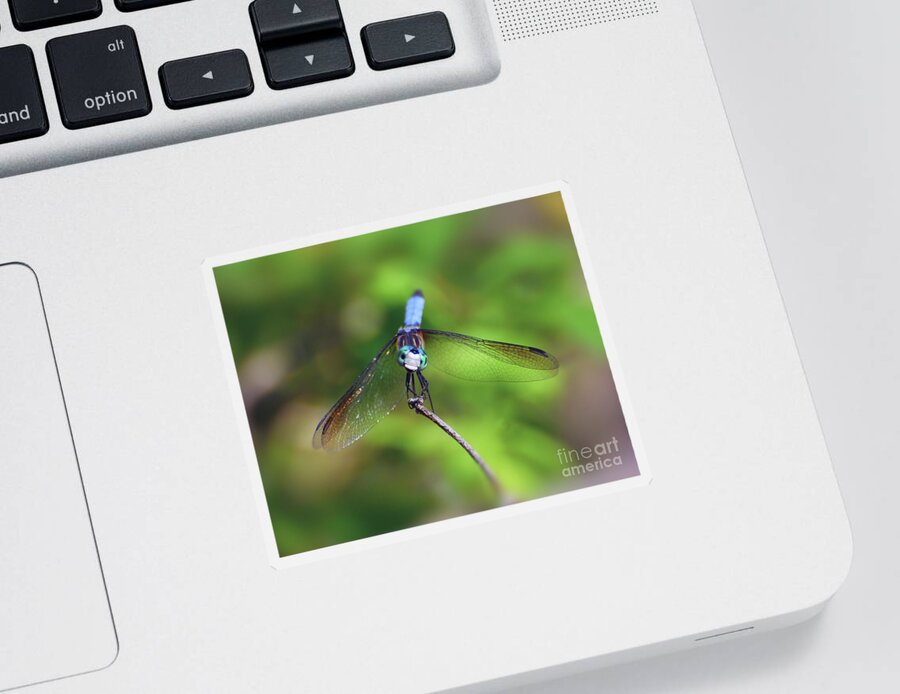 Dragonfly Sticker featuring the photograph The Face of a Dragon by Kerri Farley
