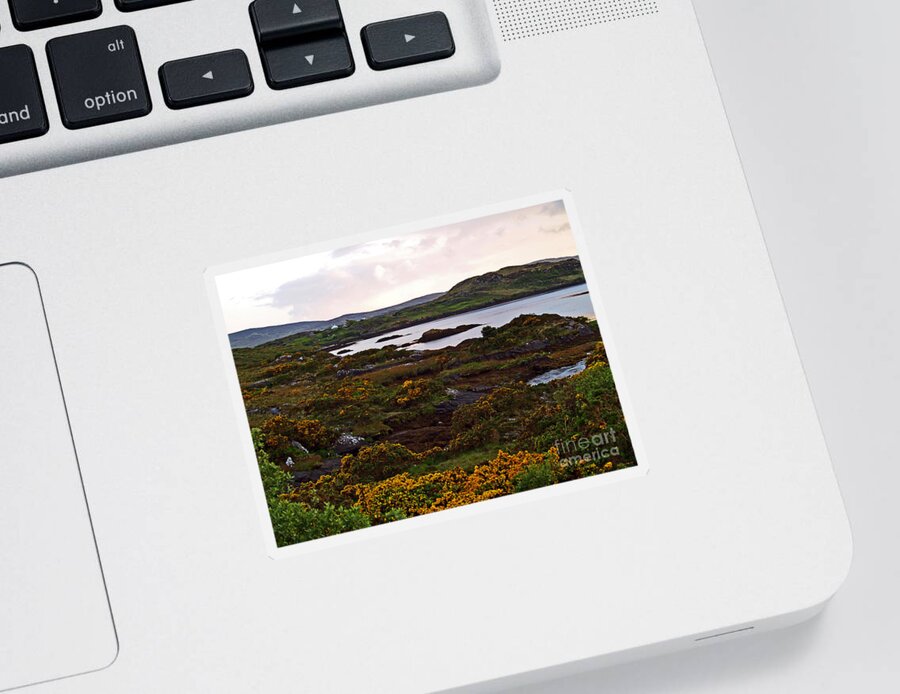 Fine Art Photography Sticker featuring the photograph The Gorse It Was ABloomin by Patricia Griffin Brett