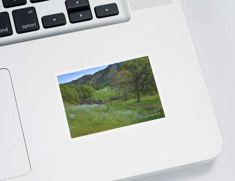 Hills Sticker featuring the photograph The Hills Are Alive 2 by Debby Pueschel