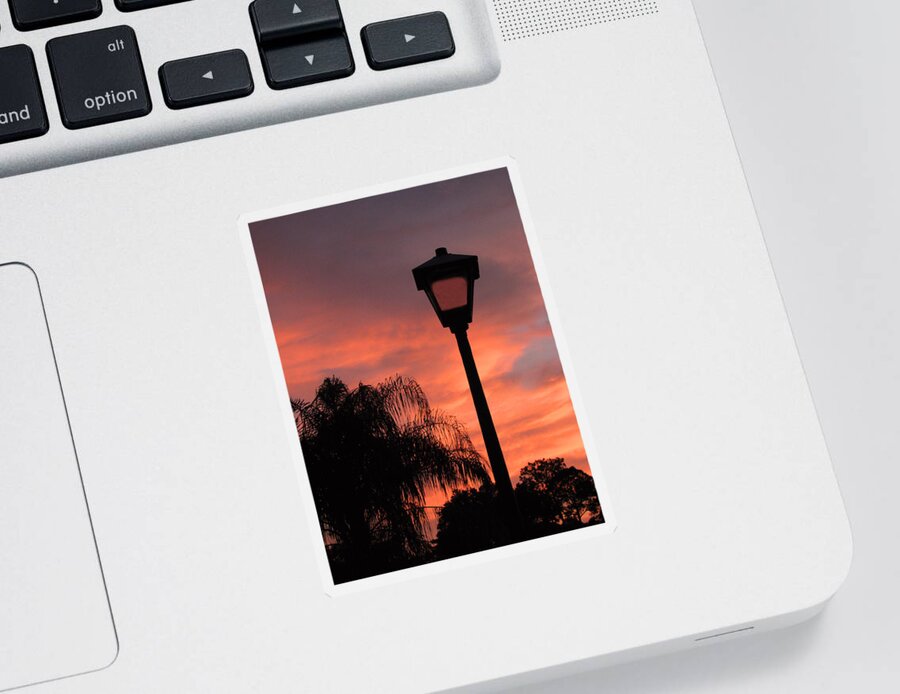 Landscape Sticker featuring the photograph The Lamp by Peggy Urban