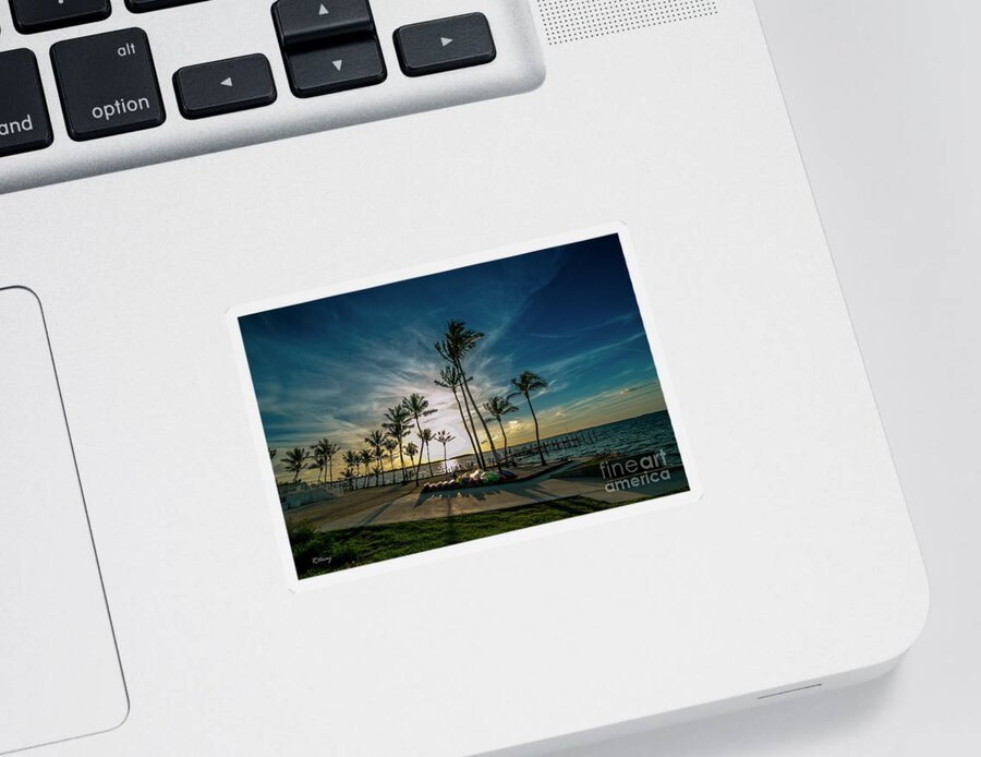 Nature Florida Keys Sticker featuring the photograph The Line of Palms by Rene Triay FineArt Photos