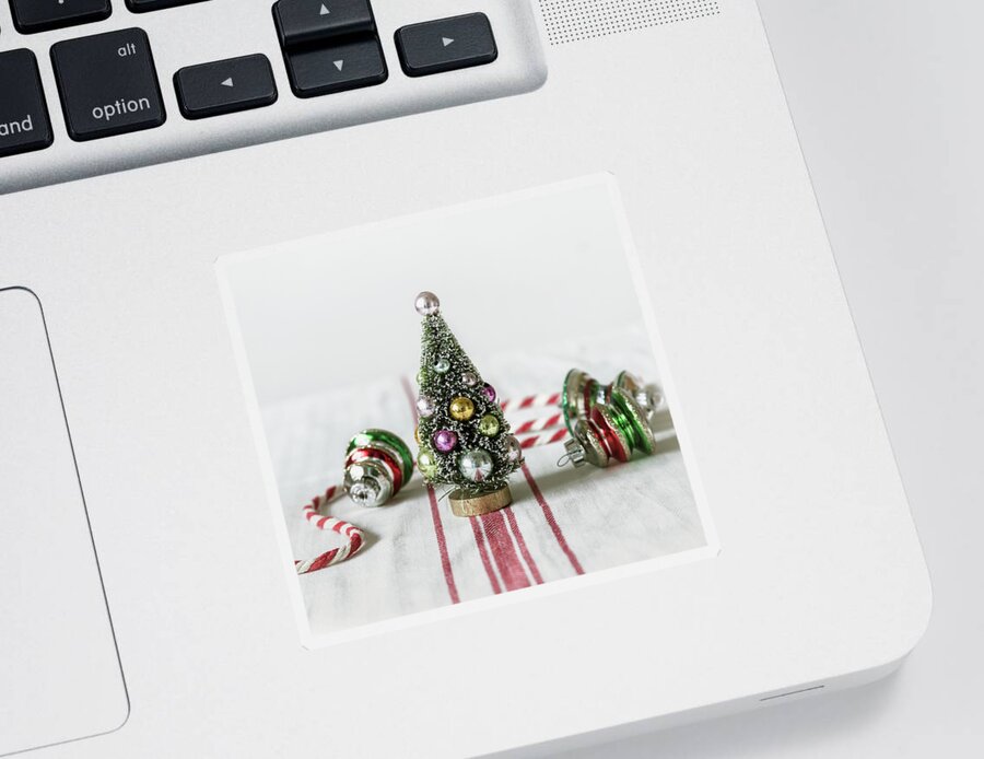 Christmas Sticker featuring the photograph The Little Christmas Tree by Kim Hojnacki