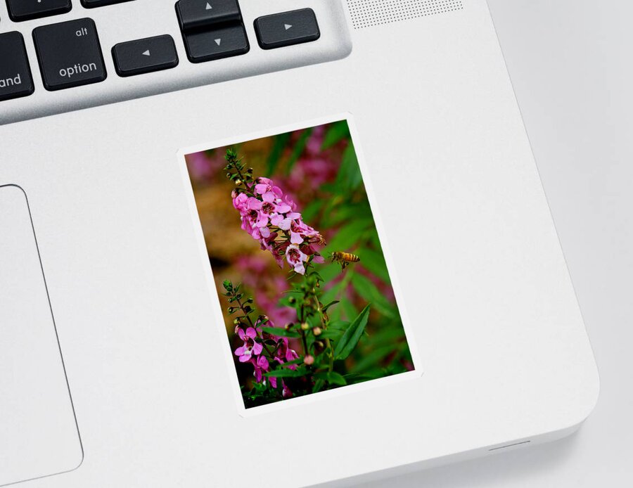 Honey Bee Sticker featuring the photograph The Little Pollinator by HH Photography of Florida