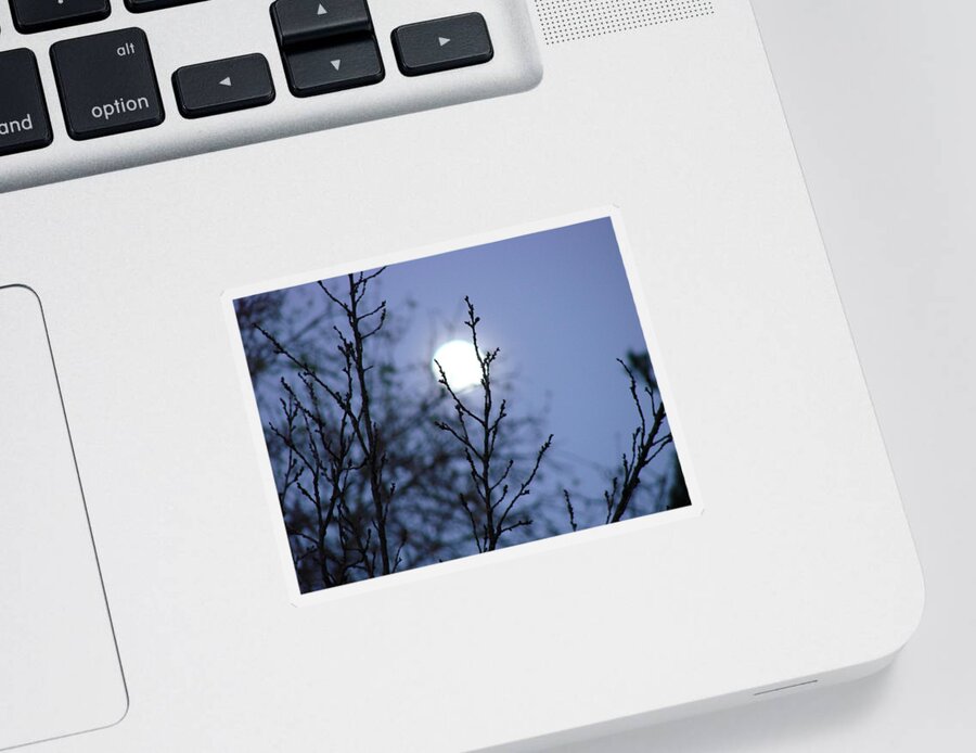 Moon Sticker featuring the photograph The Moon by Liz Vernand