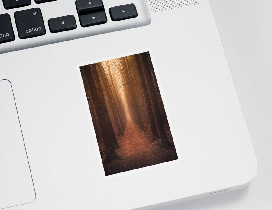 Trees Sticker featuring the photograph The Narrow Path by Rob Blair