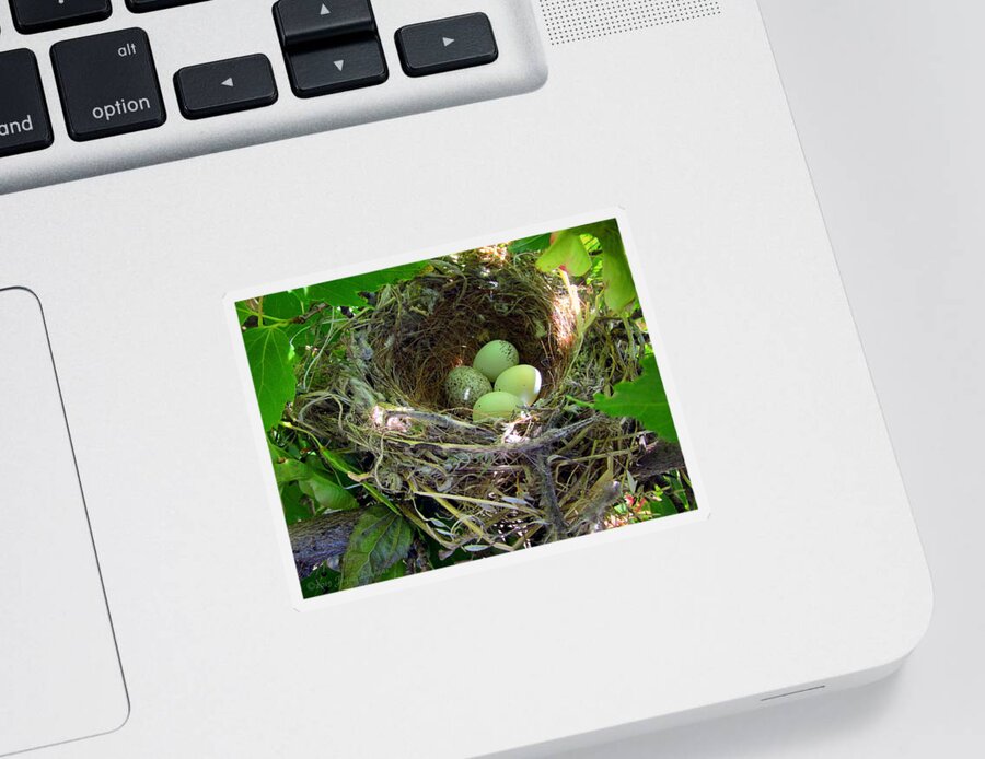 Nest Sticker featuring the photograph The Next Generation by Joyce Dickens