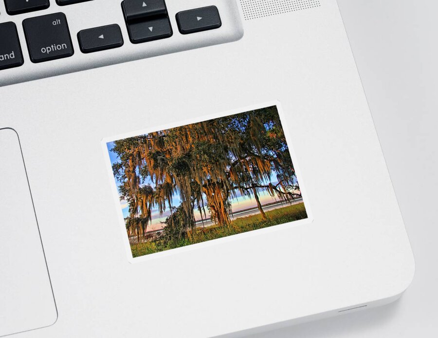 Oak Tree Sticker featuring the photograph The Old Oak Tree by HH Photography of Florida