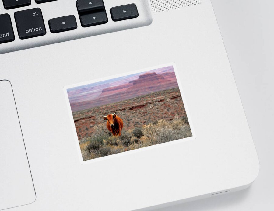 Open Sticker featuring the photograph The Open Range 2 by Nicholas Blackwell