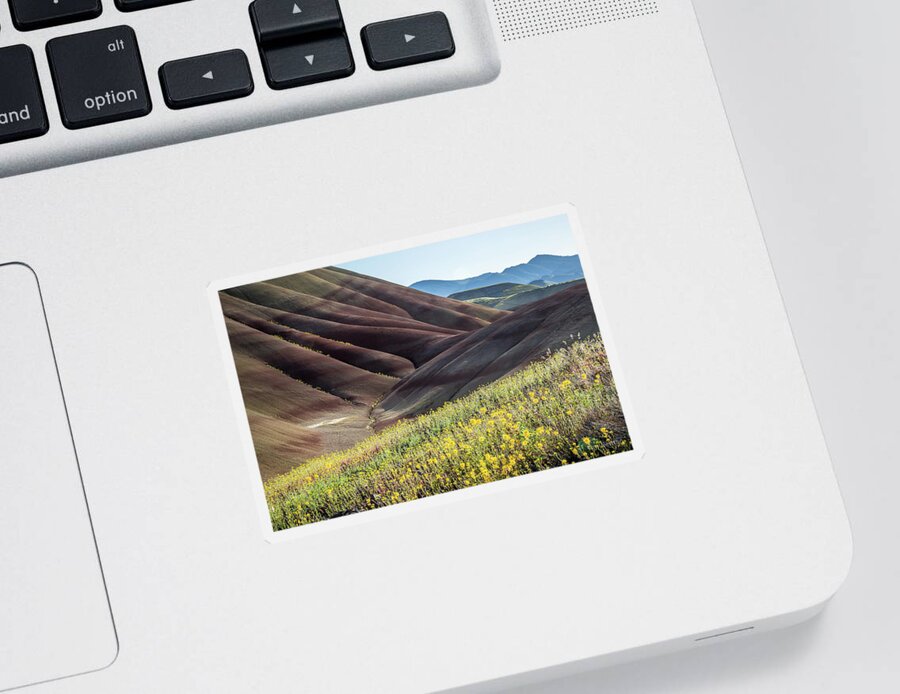 Thepaintedhills Sticker featuring the photograph The Painted Hills in Bloom by Tim Newton