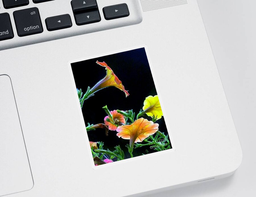 Flowers Sticker featuring the photograph The Profile by Dani McEvoy