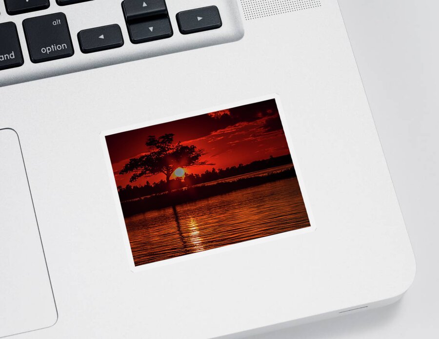 Sunset Sticker featuring the photograph The Tree on fire by Joe Holley