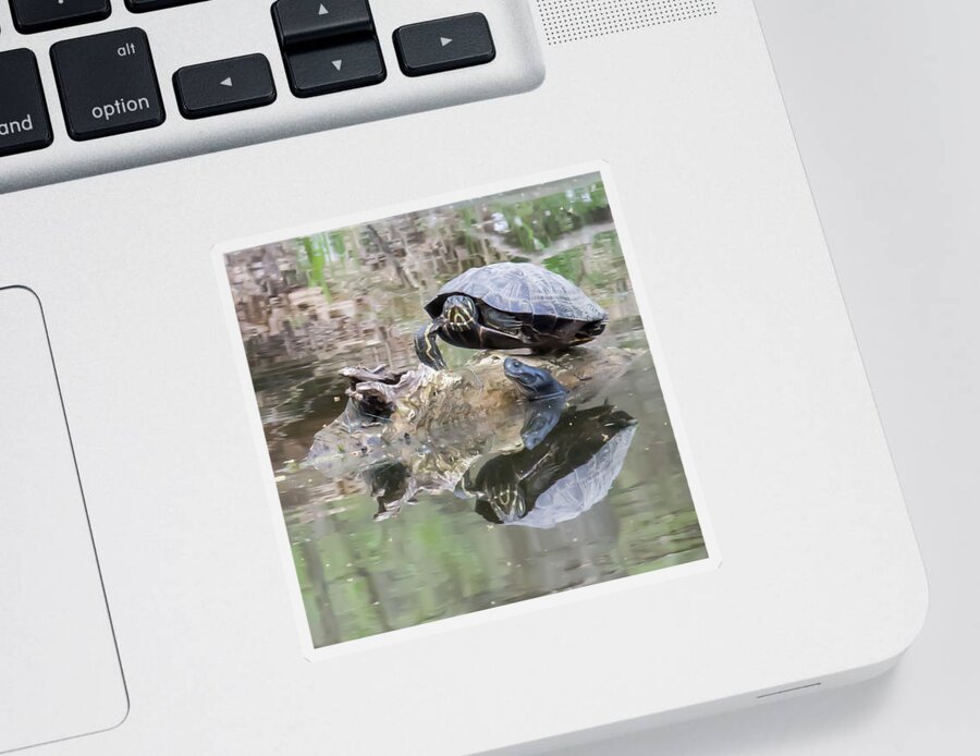 Turtle Sticker featuring the photograph The turtle and the eel at Nomahegan Park by Lisa Blake