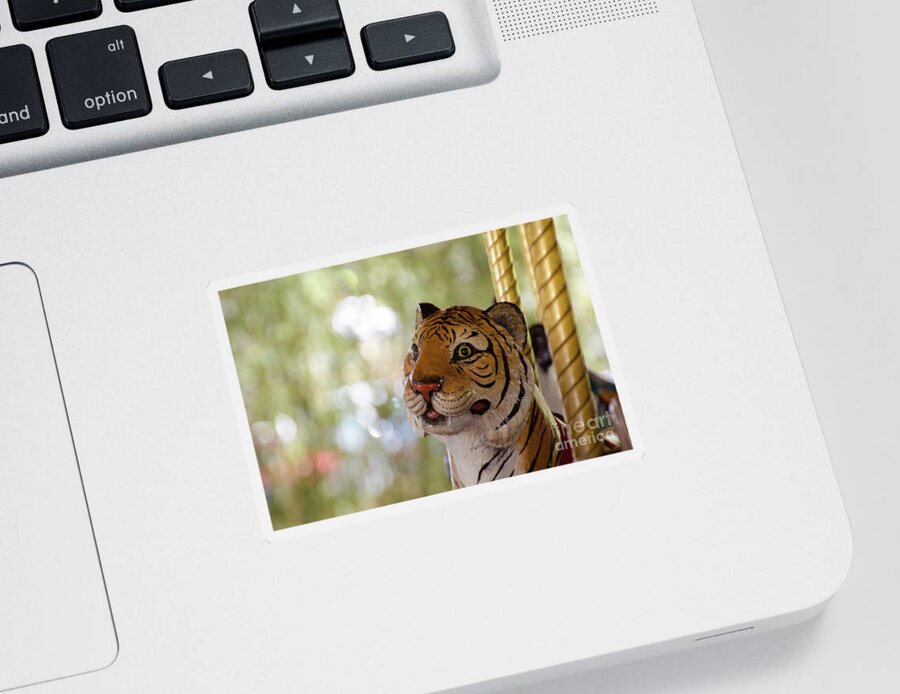 Tiger Sticker featuring the photograph The Winner by Donna Brown