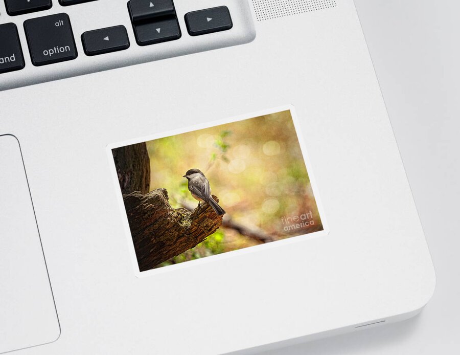 Bird Sticker featuring the photograph Thinking of Spring by Lois Bryan