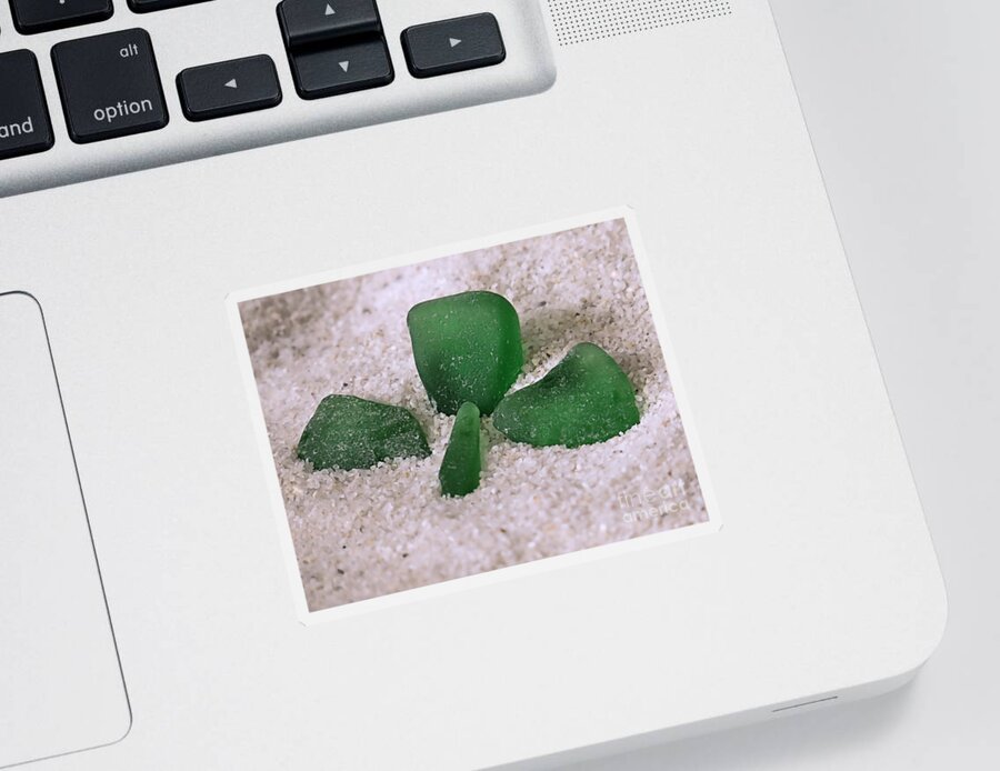 Three Leaf Clover Sticker featuring the photograph Three Leaf Clover Sea Glass by Janice Drew
