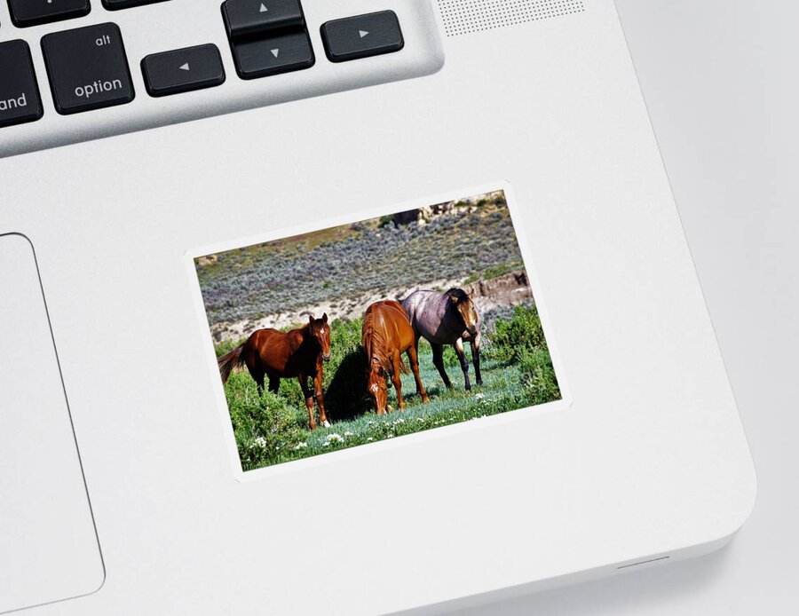 Horses Sticker featuring the photograph Three Together by Merle Grenz