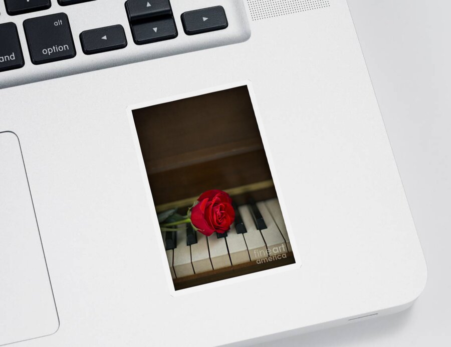 Alone Sticker featuring the photograph Timeless Melody by Evelina Kremsdorf