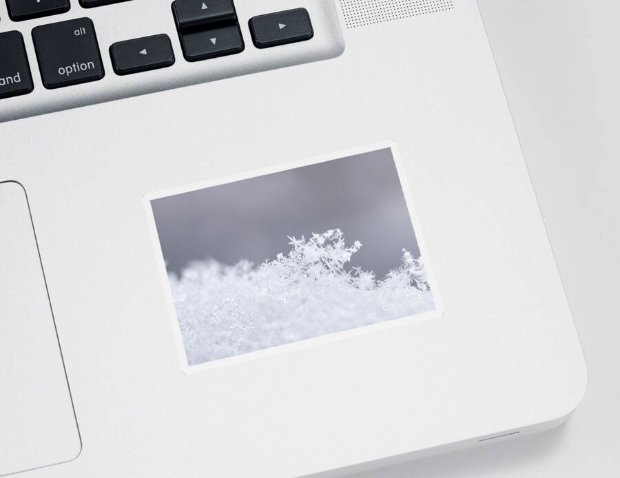 Snow Sticker featuring the photograph Tiny Worlds I by Ana V Ramirez
