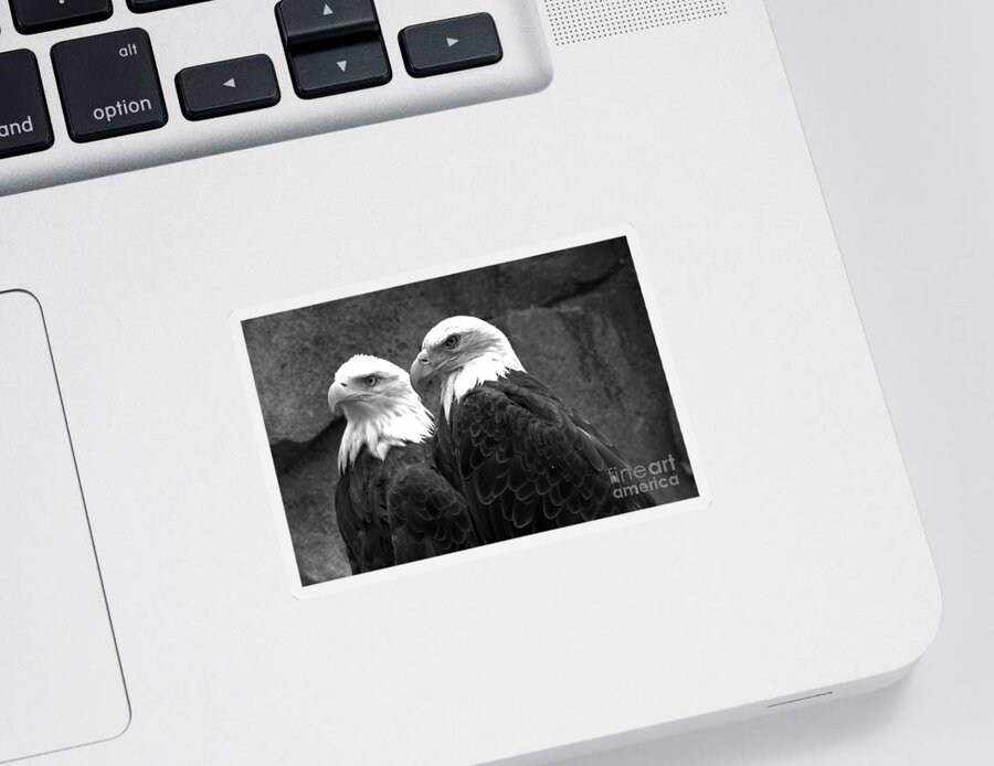 Eagles Sticker featuring the photograph Together In Montana Black And White by Adam Jewell
