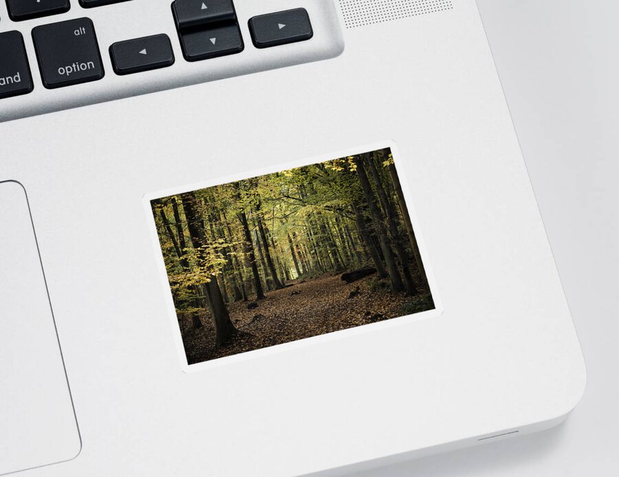 Nature Sticker featuring the photograph Toothpicks by Spikey Mouse Photography