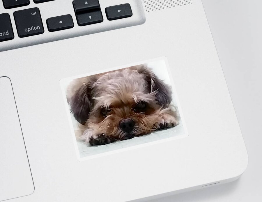 Dog Sticker featuring the photograph Tori by Kume Bryant