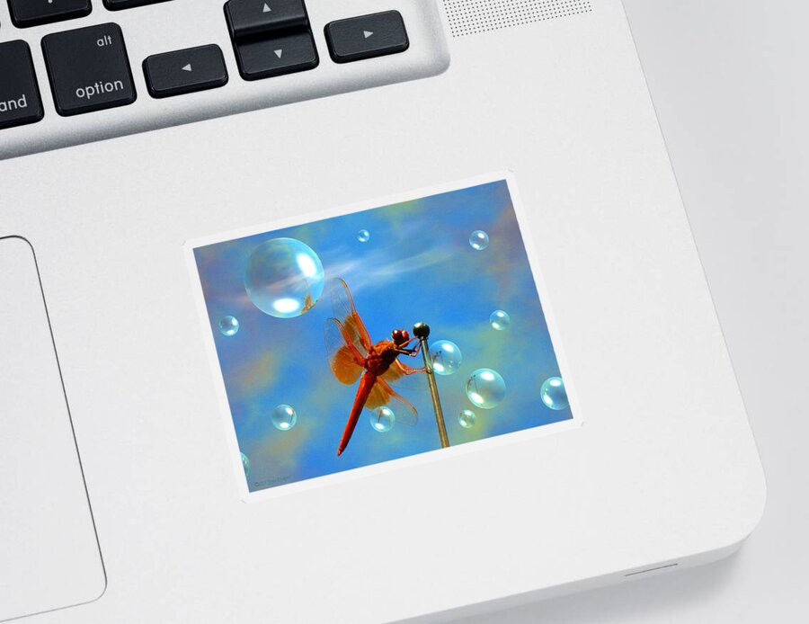 Dragonfly Sticker featuring the photograph Transparent Red Dragonfly by Joyce Dickens