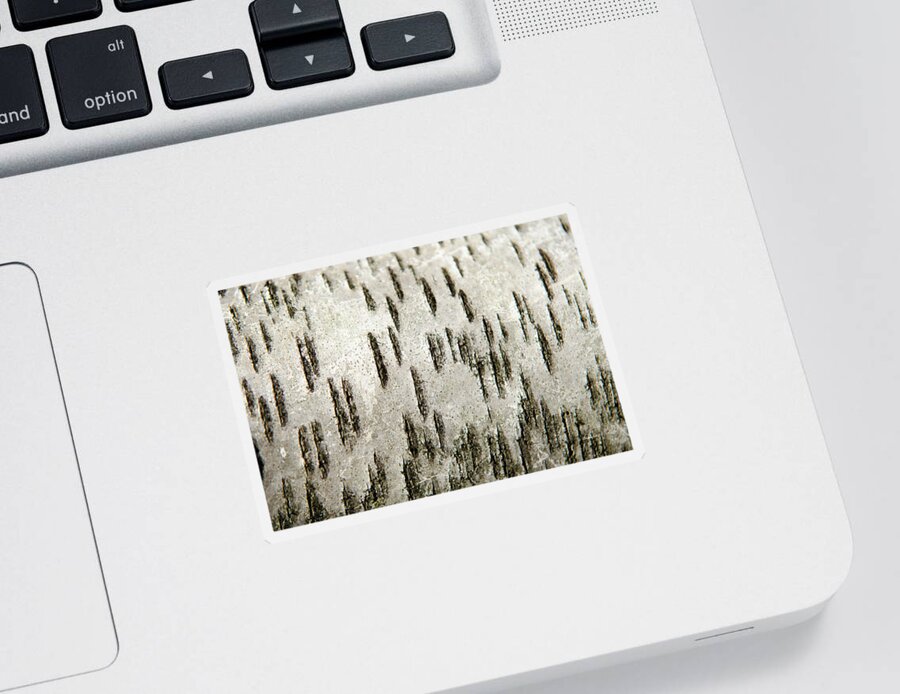 Tree Bark Sticker featuring the photograph Tree Bark Abstract by Christina Rollo